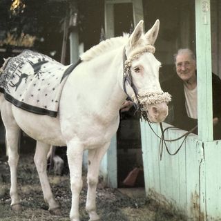 Jody Foss’s old white mule Sarah Jane, and friend